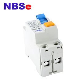 Differential Fire Resistant 2P 6KA 300mA Rccb Circuit Breaker